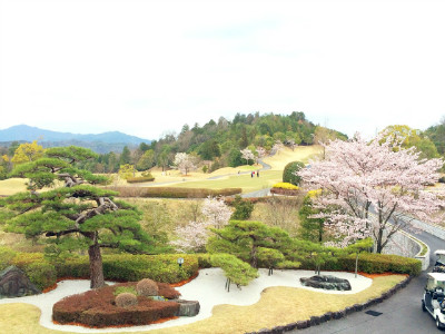 桜が見頃となっております