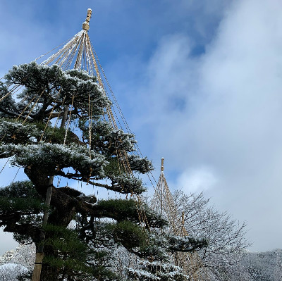 年末のご挨拶